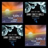 Fedde Le Grand Deniz Koyu & Johan Wedel Vs Who Da Funk - Turn It Disco Balls (Sebhouse Mash-Up)