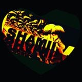 Lady Shamiira Happy New Y... EDM :D