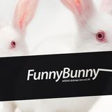 FunnyBunny (Dubstep Mix vol. 04)