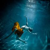 We are the Ocean
