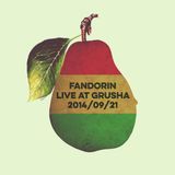 Fandorin - Live @ Grusha (2014/09/21)