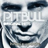 pitbull the mix