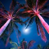 In The Deep - Session #8 "Miami Cocaina Y Champan"
