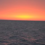 Isn´t love - deep sounds in a row