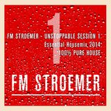 FM STROEMER UNSTOPPABLE I Essential Housemix 2014 | www.fmstroemer.de