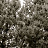Sight Lines - Mix #4 (April 2011)