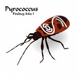 Pyrococcus - Firebug Mix 1 (2012)