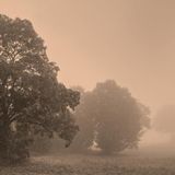 redraven - autumn moods