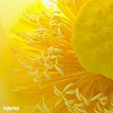 Karanyi - Open (Mixtape promo March 2013)