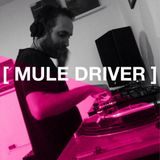 Auerbach #2 - MULE DRIVER
