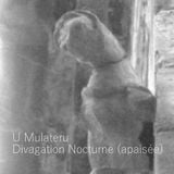 Divagation Nocturne (apaisée)