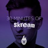 30 Minutes of Bass education #6 - Skream