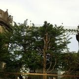 20120616_For Noon