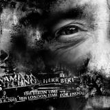 Herr Bert - DYNAMIXX TECHNO #35 for fnoob 13.06.2015