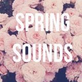| Markoni || Spring Sounds || Weekly Update 01 |