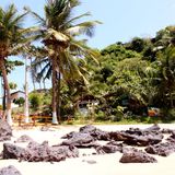 Trojan70sReggae nel Pontal do Surf do Baia Formosa