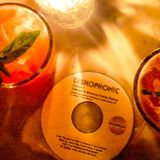 Diskophonic Vol. 1