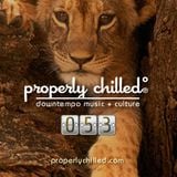 Properly Chilled Podcast #53 (B): Encore of Echo Beach (WLUW) Mix