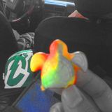 Psychedelic Turtle