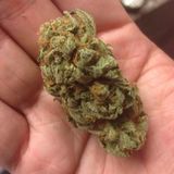 MONSTER P #BAKED 3 APRIL 2014 #420