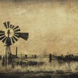 Shadows Of The Wind