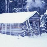 Cabin Fever