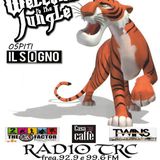 The Jungle ... Quarta Puntata 08.04 ... Clicca sul Link e Premi Play Per Ascoltare - con Il Sogno