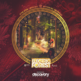 Venice - ELECTRIC FOREST 2015 ENTRY