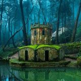 Silence Nature