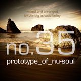Prototype of Nu-Soul 35