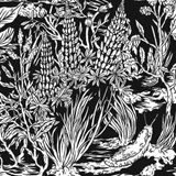 Aural Delights 117