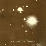 You Are The Cosmos