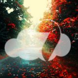 Walkingleaves