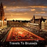 Travels to Brussels