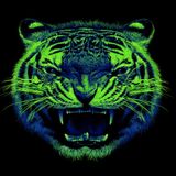 Tech This Out 4 - DJ MDMK