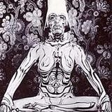Woodzee - Mystical Thali