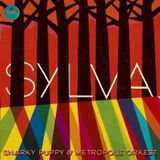 HEDONIST JAZZ RADIO - SUNDAY MORNING STROLL