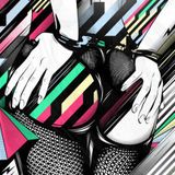 R.C.Ortega's Don't Diss Disco (2012)