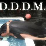 D.D.D.M. capitulo Nº18