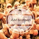 J&M Brothers Session Autumn 2014