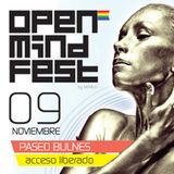 Meste - Open Mind Fest 2013 (Santiago, Chile)