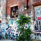 Street Knowledge
