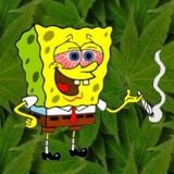 DJ Danny Intro - That Tuesday I got Stoned and Try to Mix