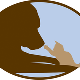 Pawling All Pets - Common Pet myths