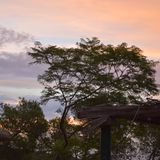 The Mountain morning