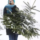 Winter Groove