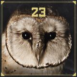 Project 23