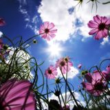 Spring Selection 2016 Part 1