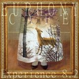 Experience #8.2: Into Winter