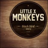 Influences litigieuses de Little X Monkeys + Session acoustique